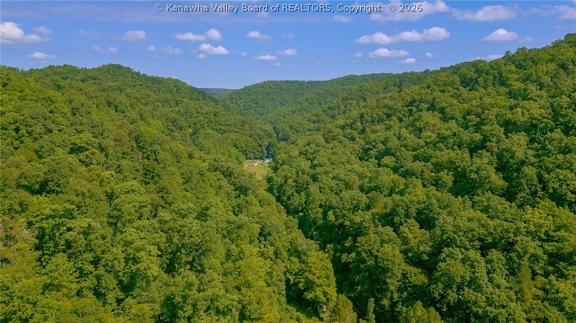 277 Sand Creek Road Harts, WV 25524 - Photo 13 of 16 Gallery Image 13