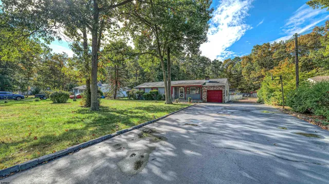 a view of a yard with plants and trees