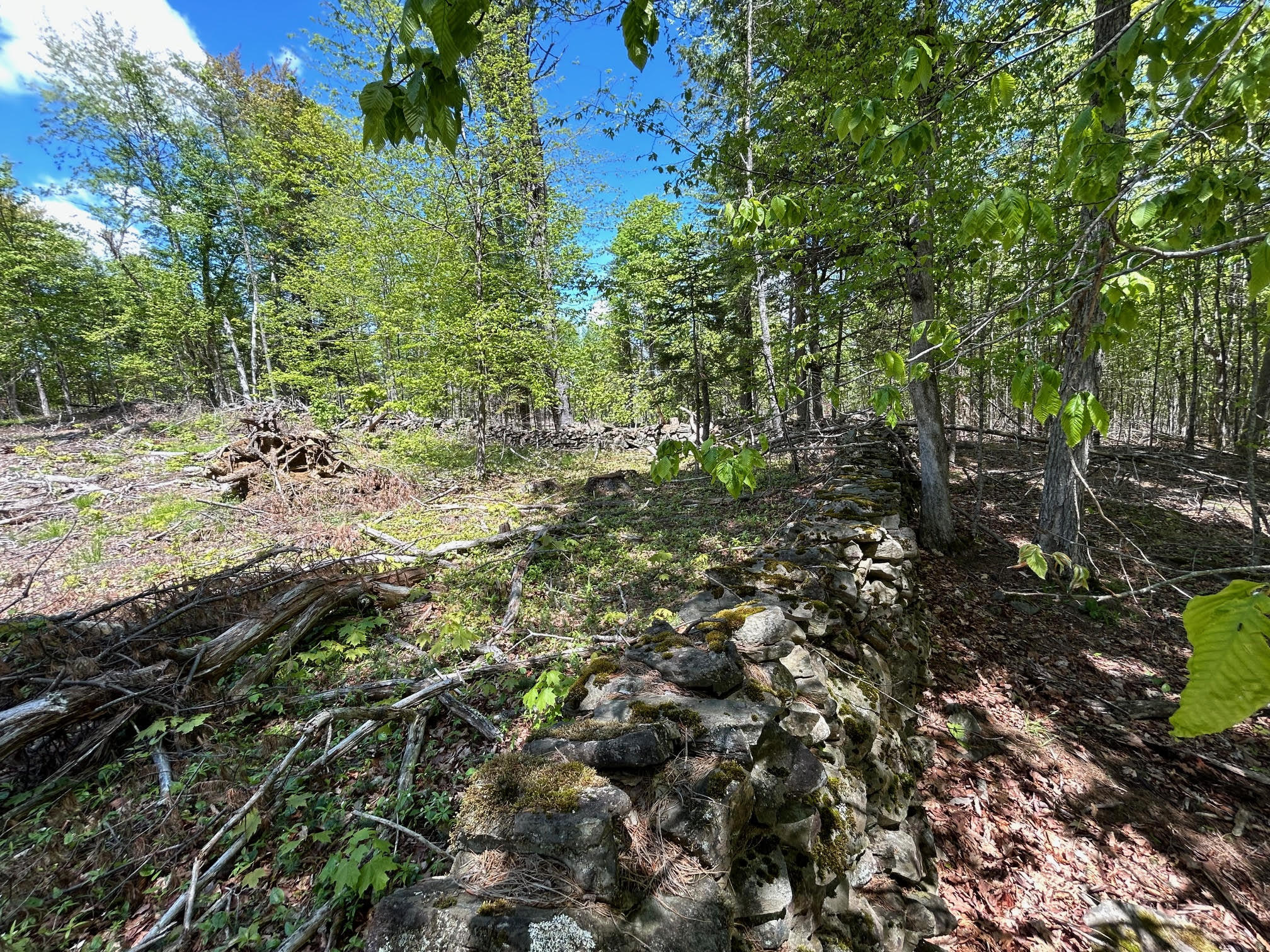 1 West Waldo Road Belfast, ME 04915 - Photo 6 of 13