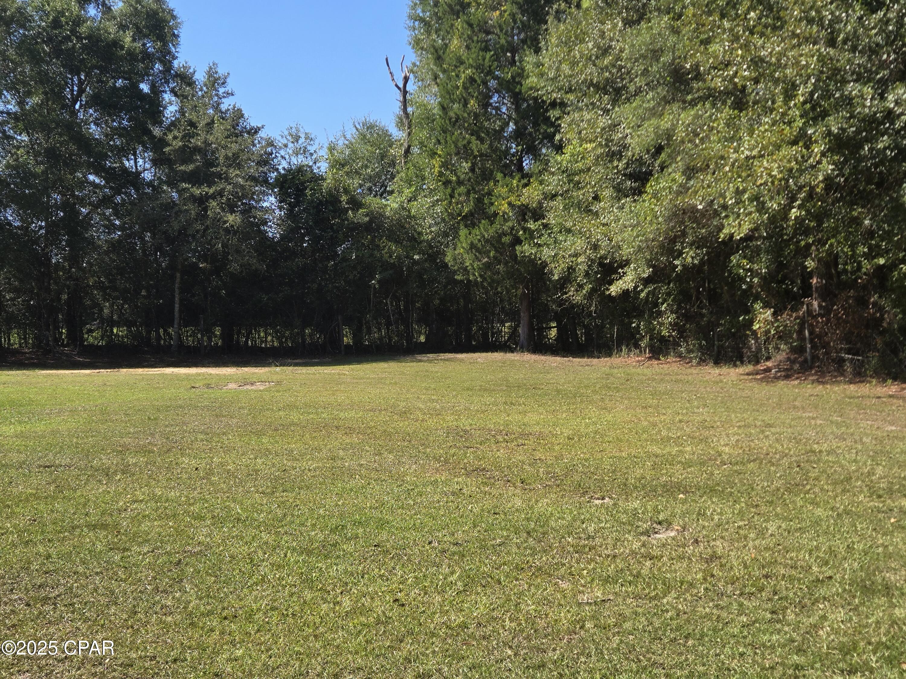 1722 Flowing Well Road Bonifay, FL 32425 - Photo 12 of 39