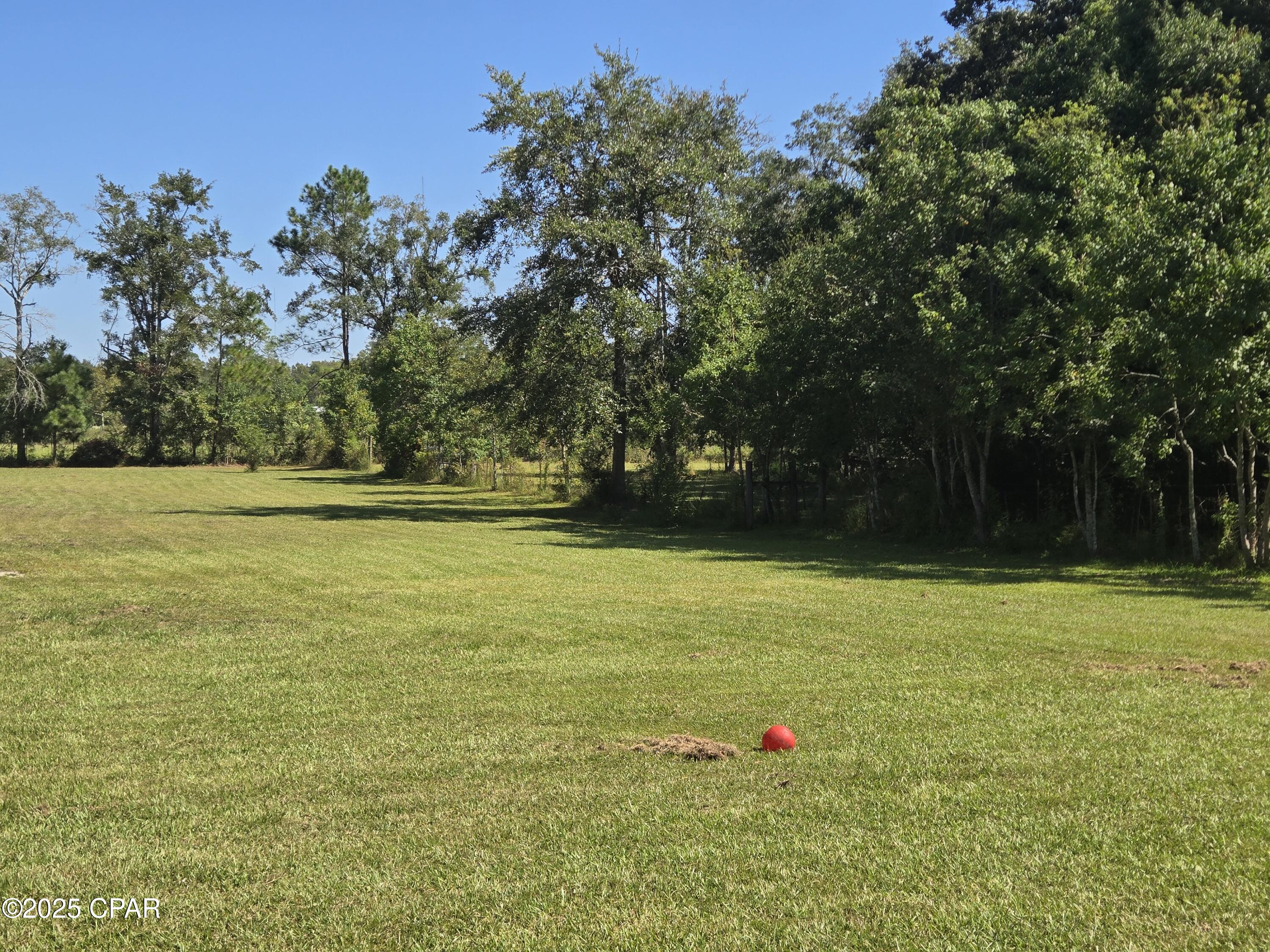 1722 Flowing Well Road Bonifay, FL 32425 - Photo 28 of 39