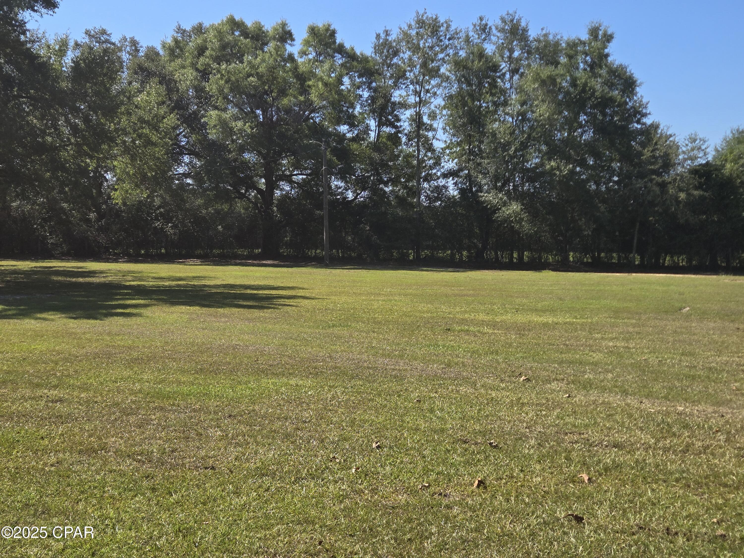 1722 Flowing Well Road Bonifay, FL 32425 - Photo 4 of 39