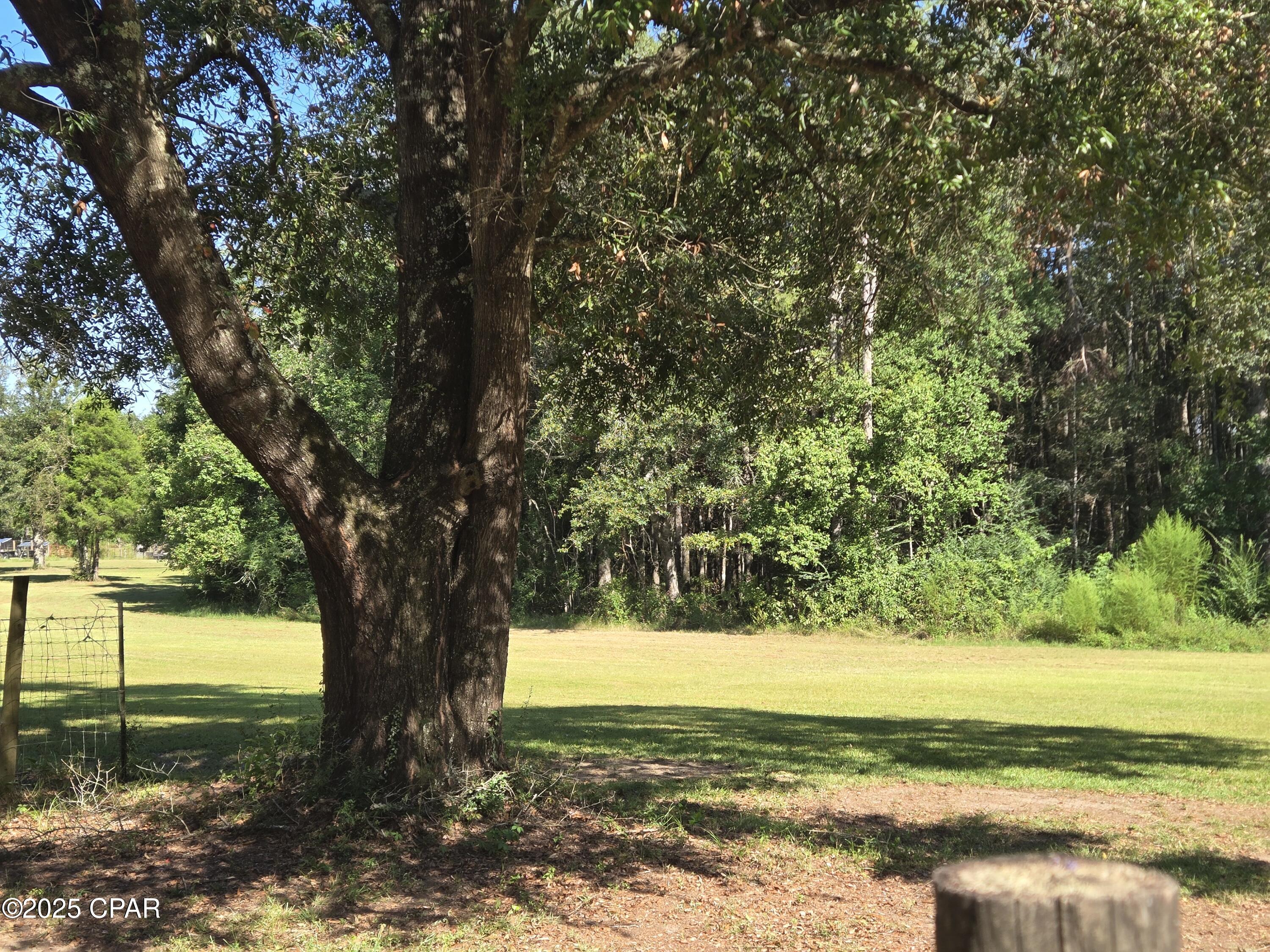 1722 Flowing Well Road Bonifay, FL 32425 - Photo 7 of 39