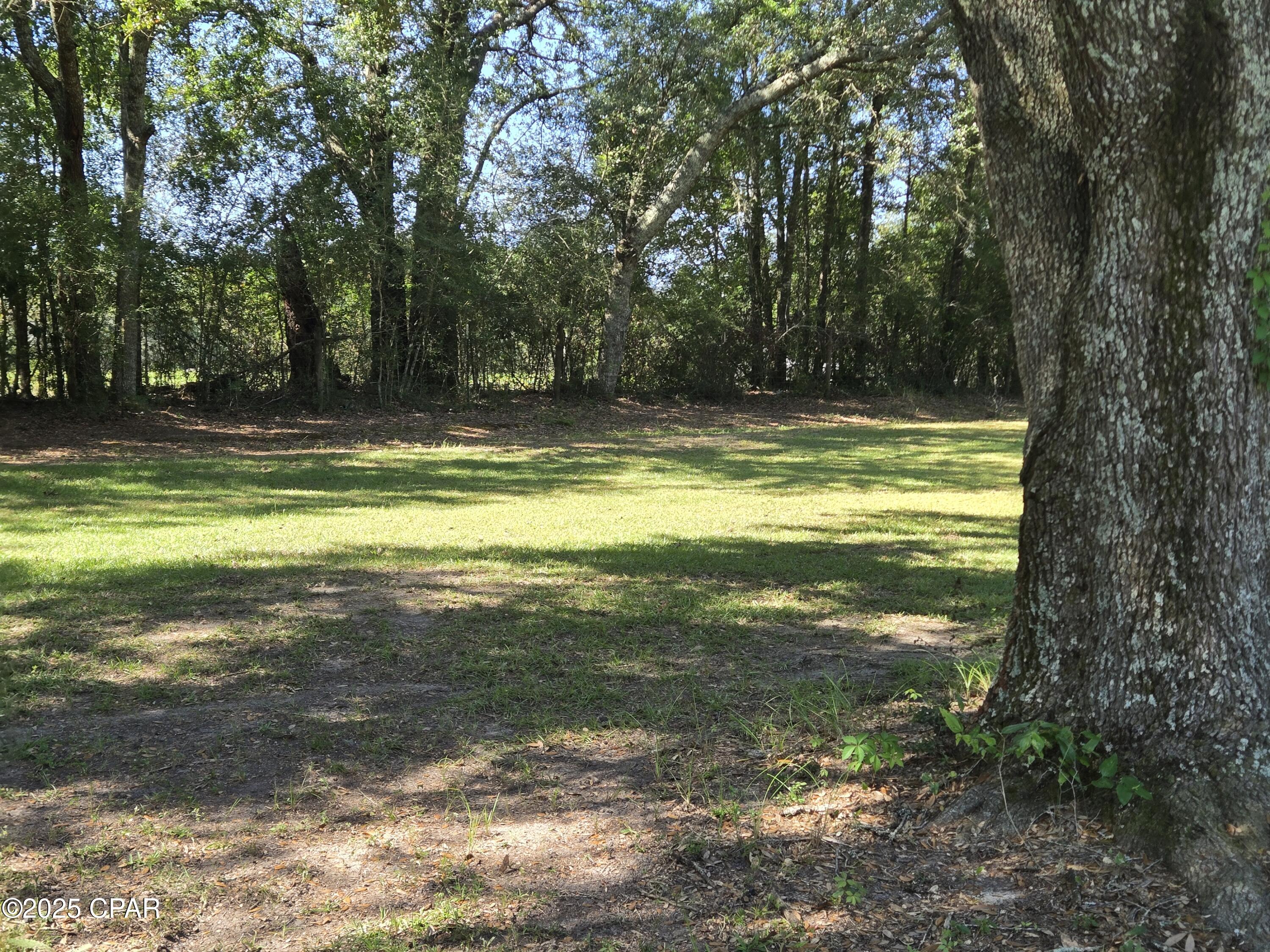 1722 Flowing Well Road Bonifay, FL 32425 - Photo 9 of 39