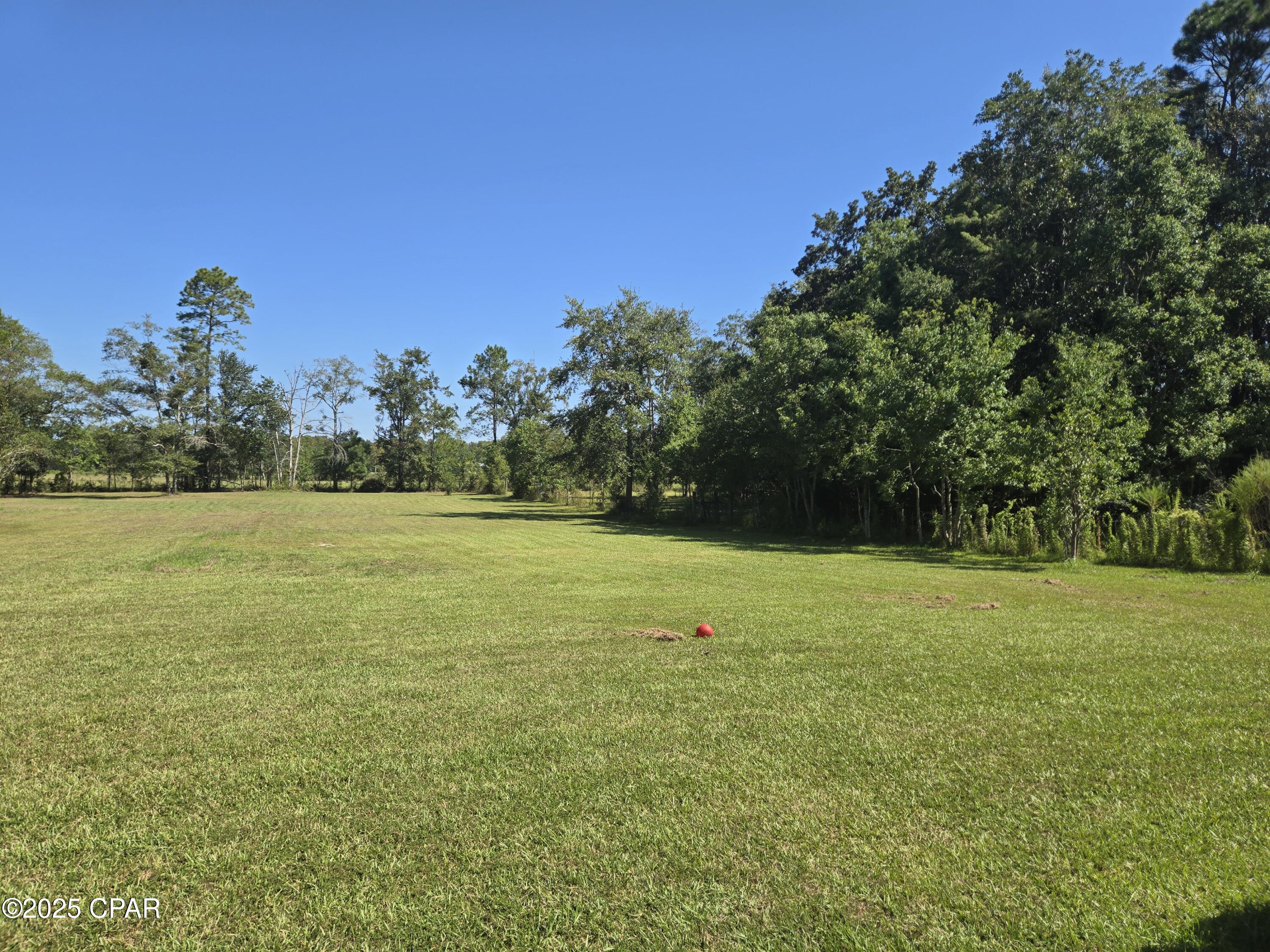 1722 Flowing Well Road Bonifay, FL 32425 - Photo 10 of 39