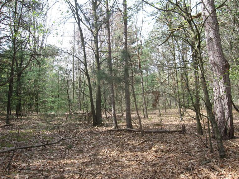 1710 East Bard Road Muskegon, MI 49445 - Photo 16 of 20 Additional Photo