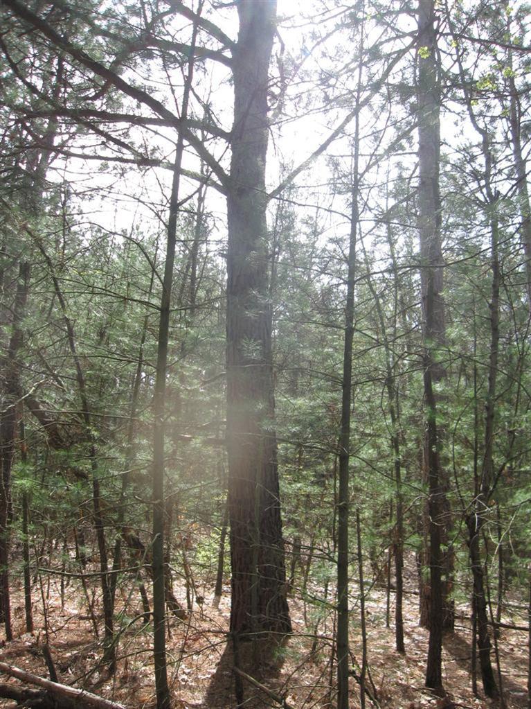 1710 East Bard Road Muskegon, MI 49445 - Photo 18 of 20 Additional Photo