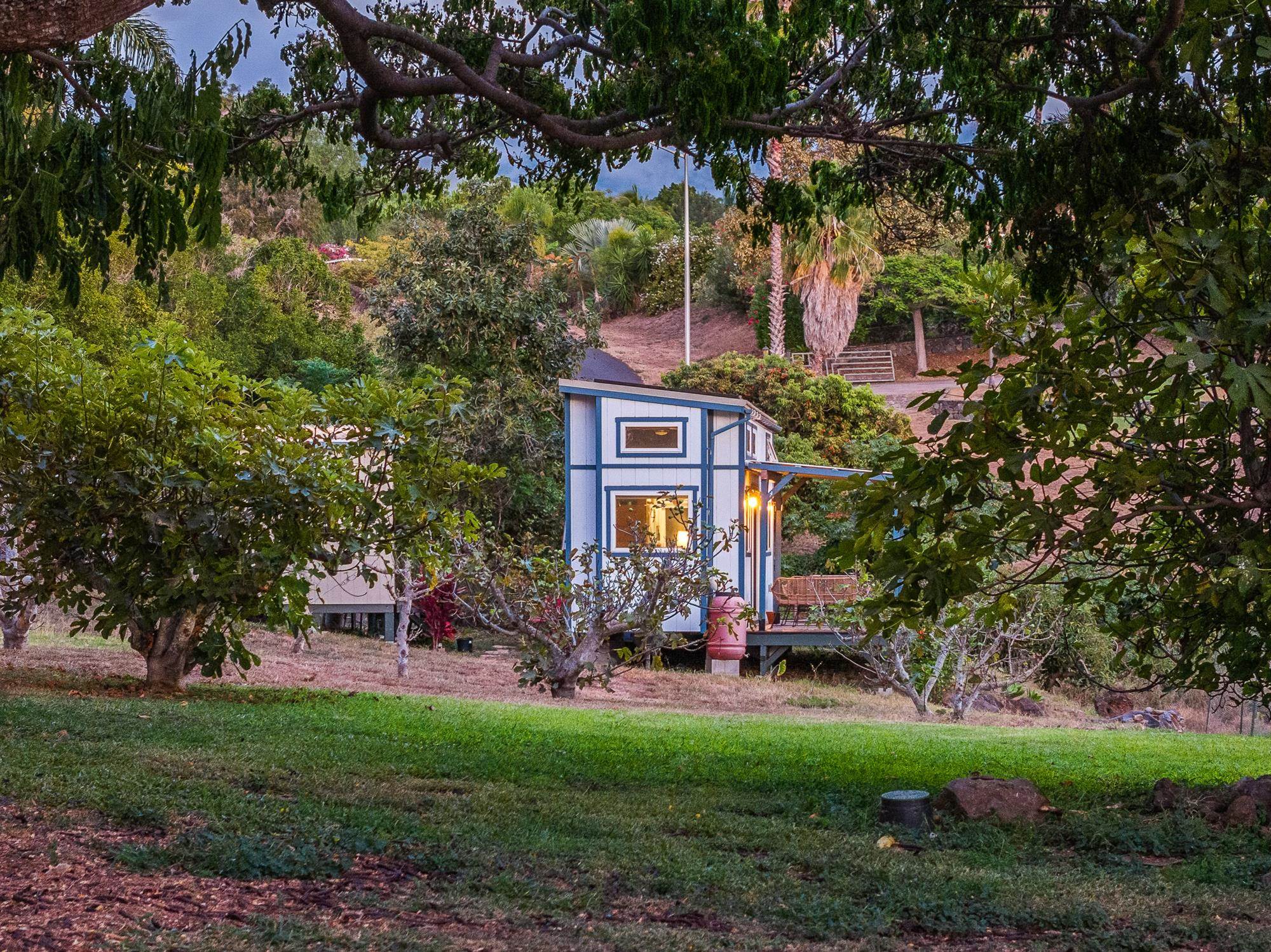 20 Pea Place Kula, HI 96790 - Photo 34 of 49 a group of people sitting in a yard with swimming pool