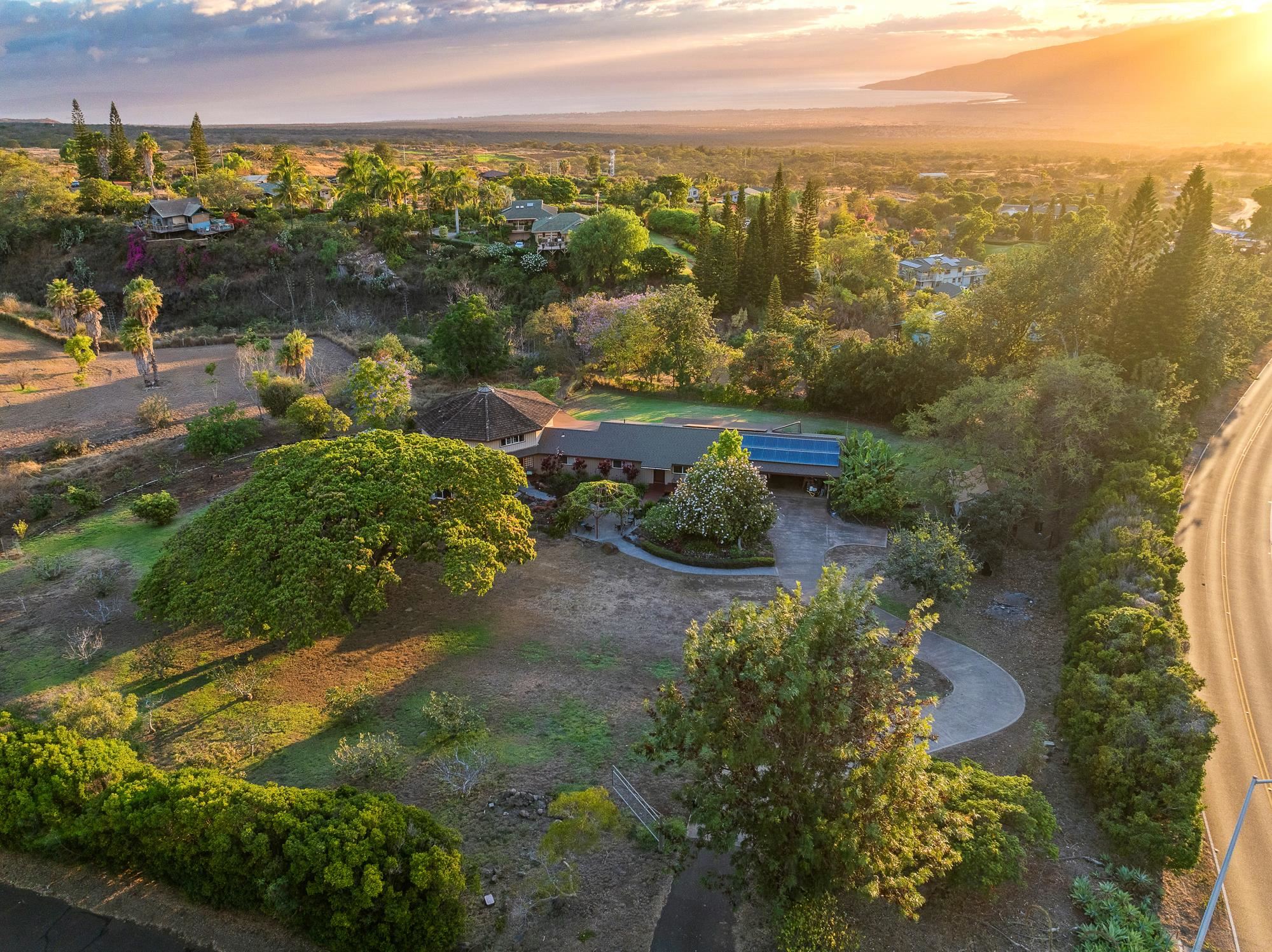 20 Pea Place Kula, HI 96790 - Photo 4 of 49 an aerial view of multiple house