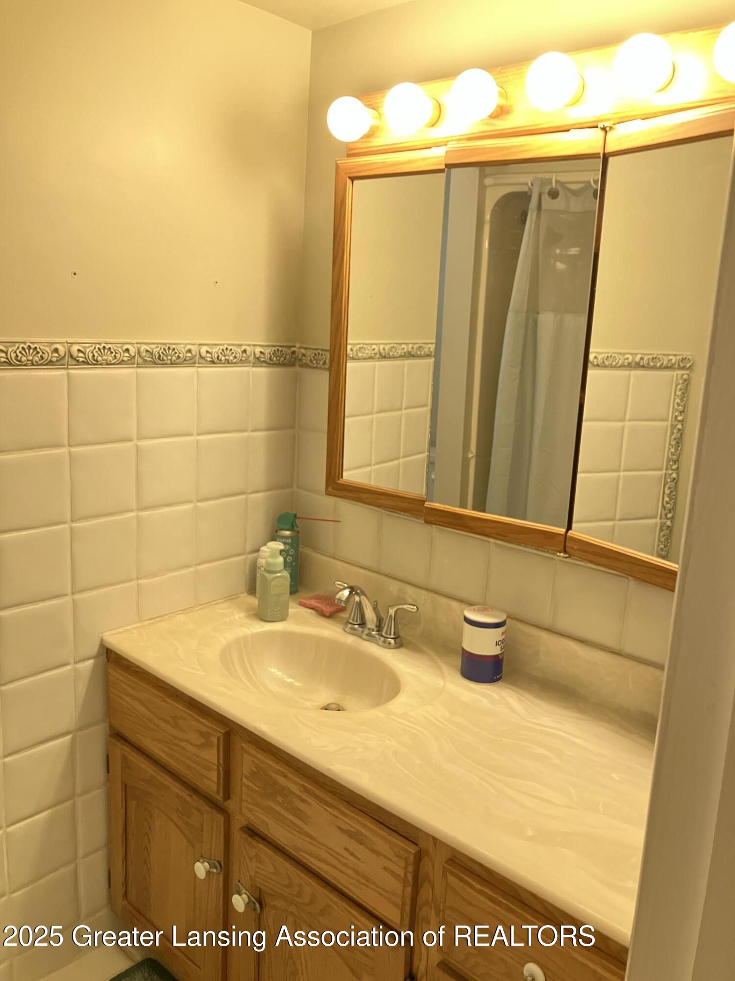 12955 Chippewa Drive, Unit R4 Grand Ledge, MI 48837 - Photo 9 of 19 image3 (5)
