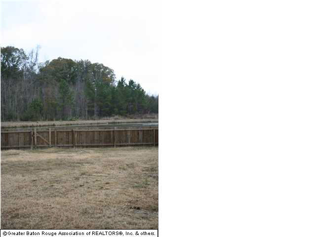 26229 Bobby Gill Road Denham Springs, LA 70726 - Photo 23 of 24 Gallery Image 23