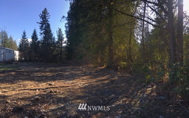 46734 Baker Loop Road Concrete, WA 98237 - Photo 5 of 14 Gallery Image 5
