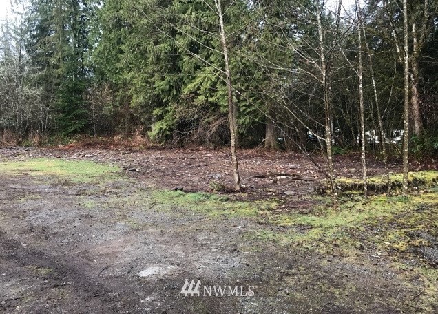 46734 Baker Loop Road Concrete, WA 98237 - Photo 7 of 14 Gallery Image 7