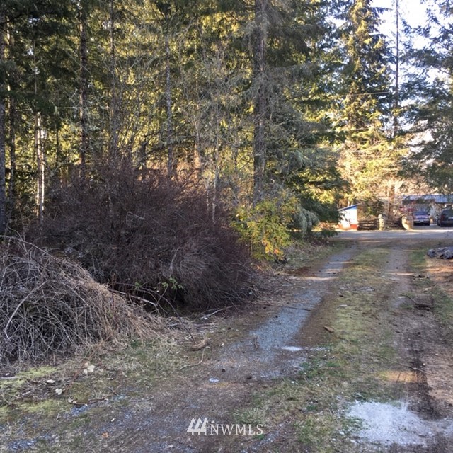 46734 Baker Loop Road Concrete, WA 98237 - Photo 8 of 14 Gallery Image 8