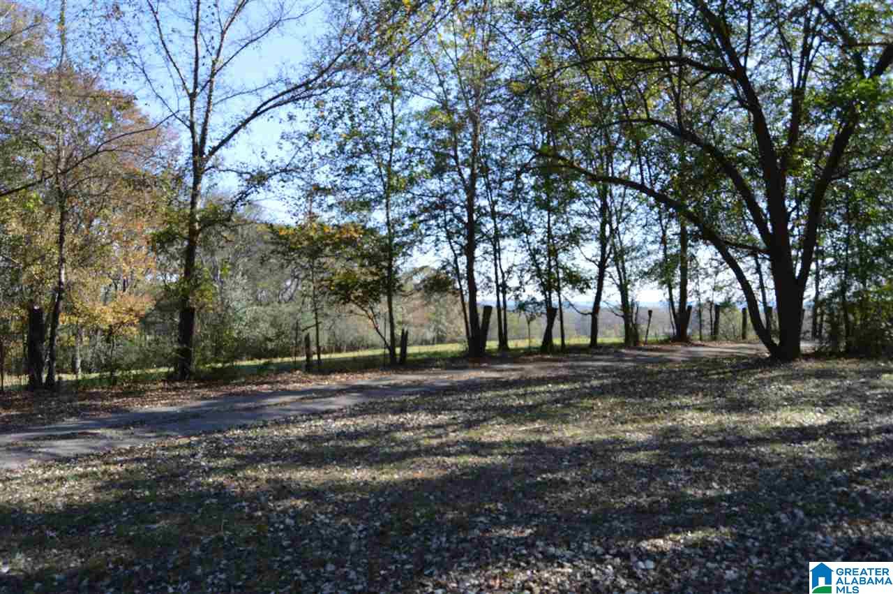 4210 Butler Tanner Road Dora, AL 35062 - Photo 11 of 30