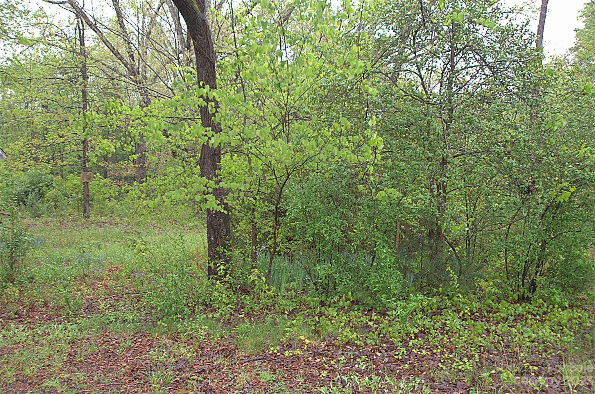 5912 Neck Road Huntersville, NC 28078 - Photo 3 of 26 Gallery Image 3