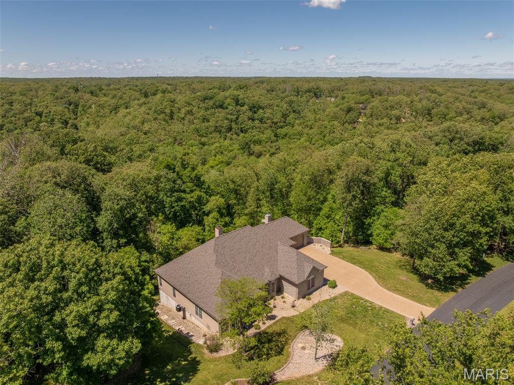3840 Rooster Ridge Lane Defiance, MO 63341 - Photo 46 of 61