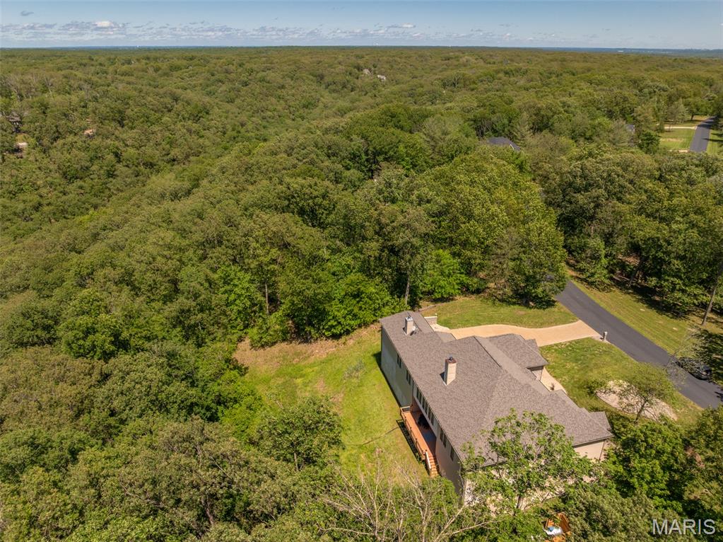 3840 Rooster Ridge Lane Defiance, MO 63341 - Photo 47 of 61