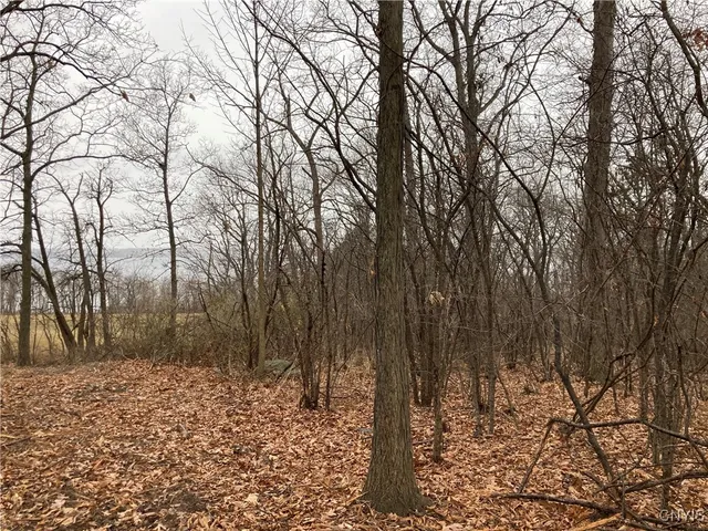 $1,000,000 | 3625 Highway 90, Ledyard, NY 13026