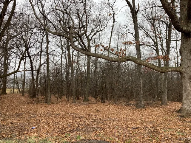 $1,000,000 | 3625 Highway 90, Ledyard, NY 13026