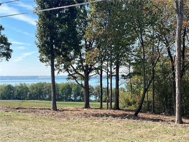 $1,000,000 | 3625 Highway 90, Ledyard, NY 13026