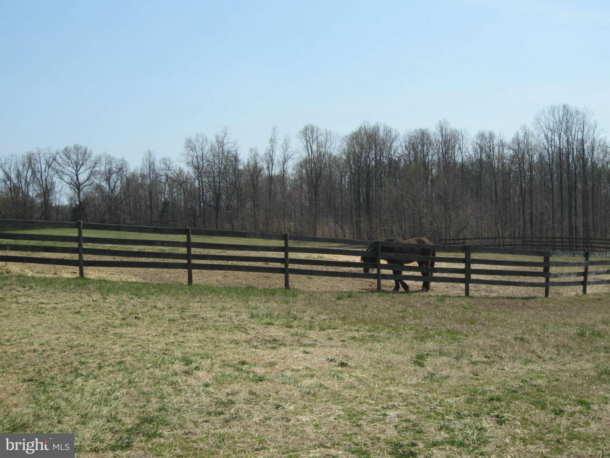609 Bayard Road Lothian, MD 20711 - Photo 25 of 30 Exterior (General)