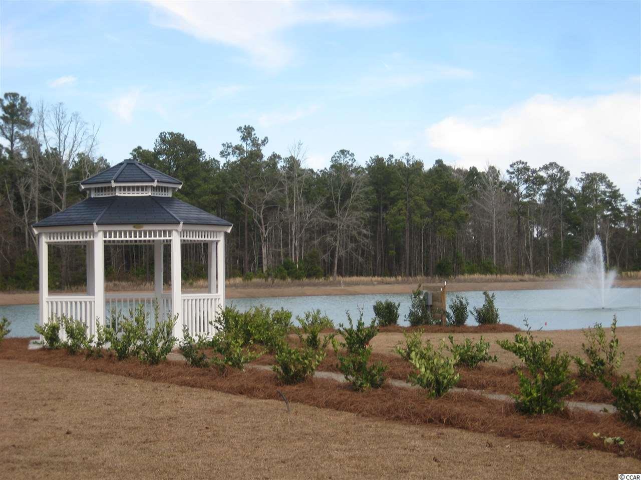 70 Hyacinth Loop Murrells Inlet, SC 29576 - Photo 4 of 25 Gallery Image 4