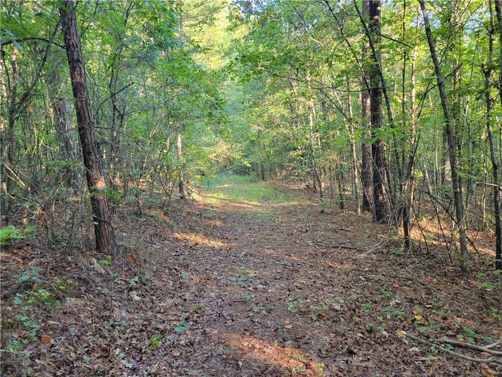 381 West Bryant Road West Union, SC 29696 - Photo 17 of 27