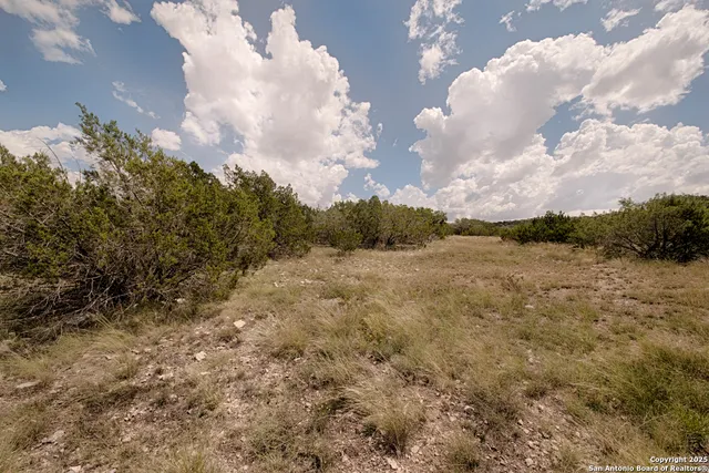 a view of a big yard