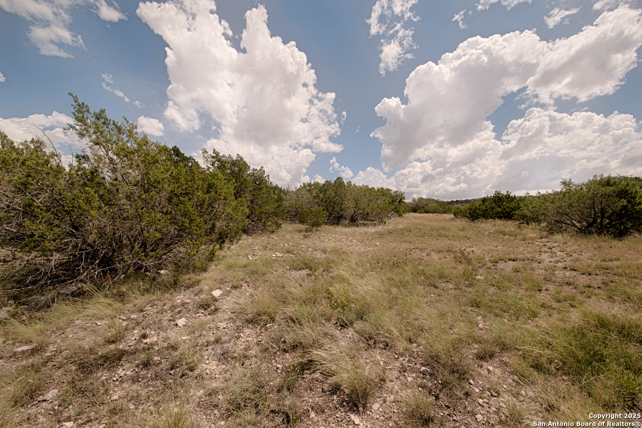 45720 SD 45720 Rocksprings, TX 78880 - Photo 7 of 10