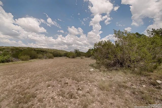 a view of a dry yard