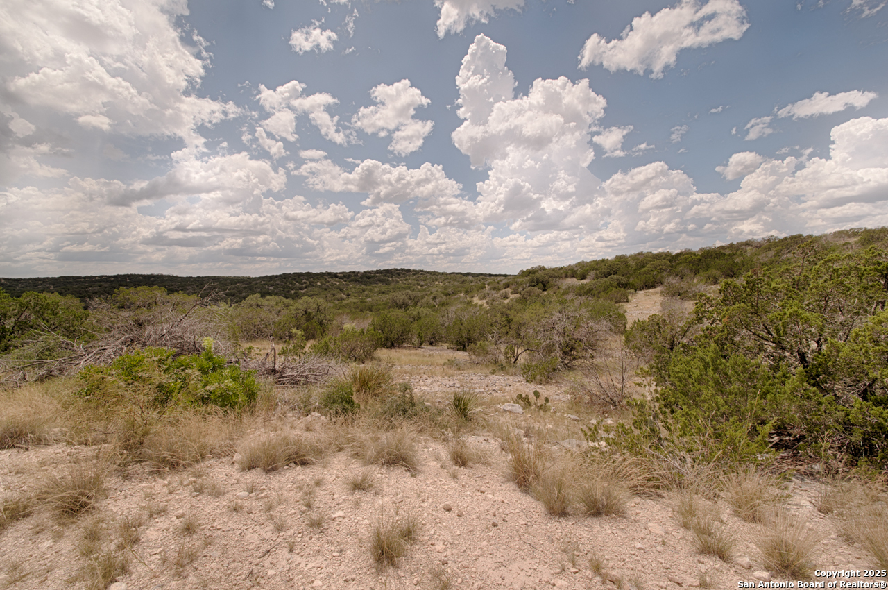 45720 SD 45720 Rocksprings, TX 78880 - Photo 9 of 10