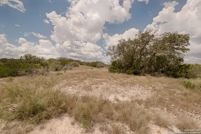 a view of a dry yard with trees