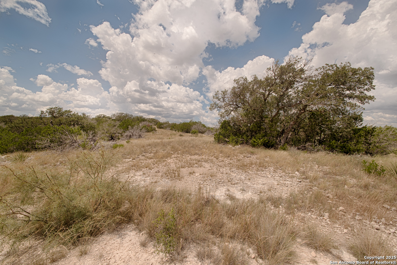 45720 SD 45720 Rocksprings, TX 78880 - Photo 10 of 10