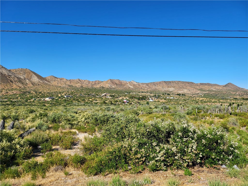 0 La Reina Road Phelan, CA 92371 - Photo 1 of 1 Gallery Image 1