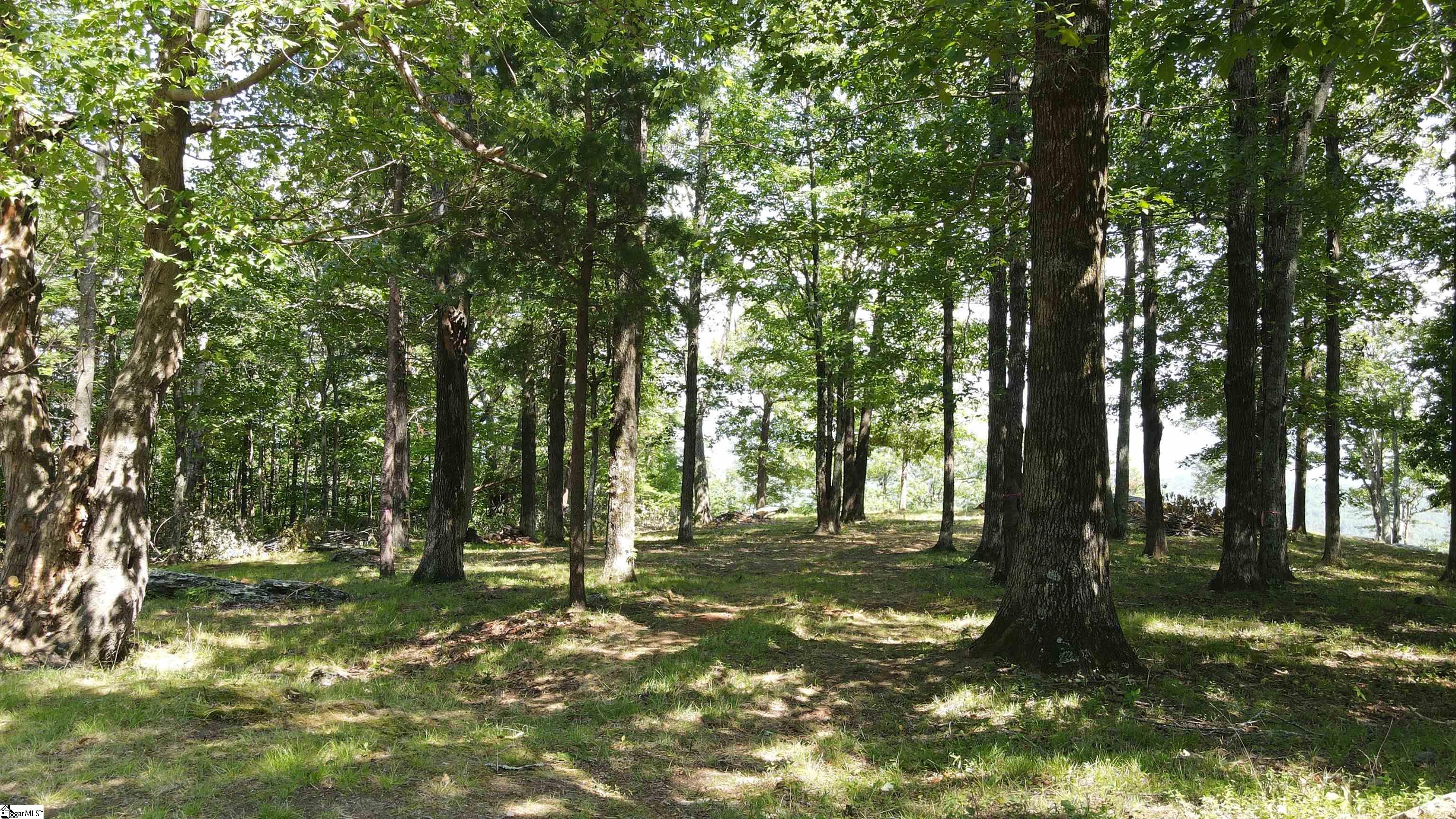 0 Southview Ledge Road, Unit LOT 62 Landrum, SC 29356 - Photo 24 of 34