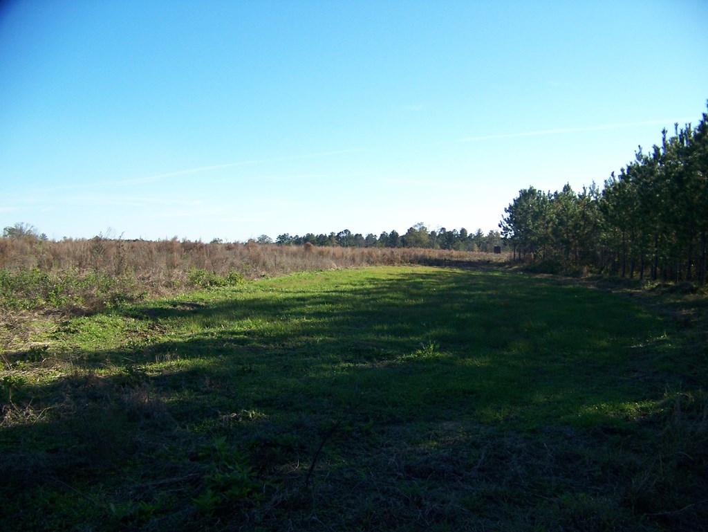 320 A Goodson Road Columbia, AL 36319 - Photo 8 of 8