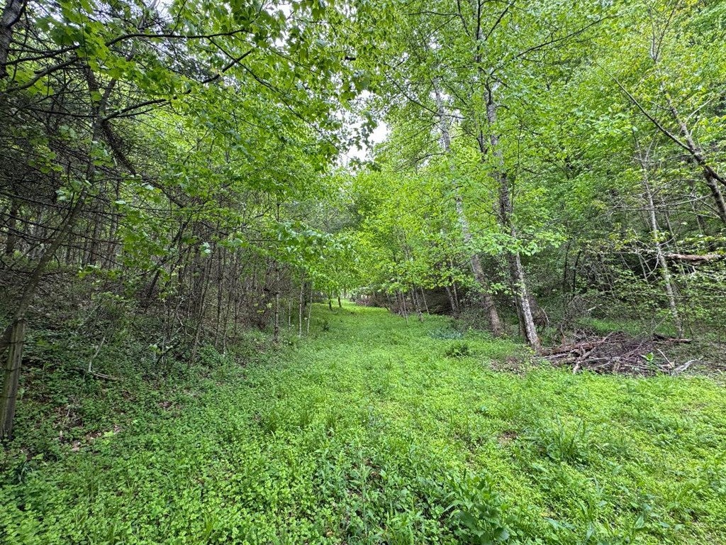 5461 Joy Ranch Road Fancy Gap, VA 24328 - Photo 53 of 58 Gallery Image 53