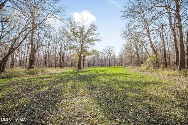 $975,000 | 1 Rodney Bend Road, Lorman, MS 39096
