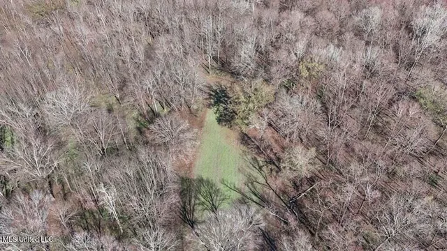 $975,000 | 1 Rodney Bend Road, Lorman, MS 39096