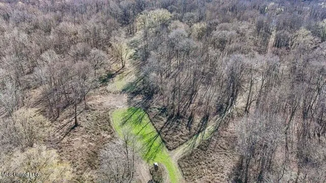 $975,000 | 1 Rodney Bend Road, Lorman, MS 39096