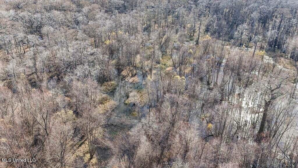 1 Rodney Bend Road Lorman, MS 39096 - Photo 15 of 20 20250707195753410966000000-o