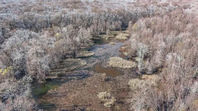 $975,000 | 1 Rodney Bend Road, Lorman, MS 39096