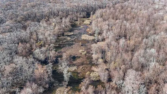 $975,000 | 1 Rodney Bend Road, Lorman, MS 39096