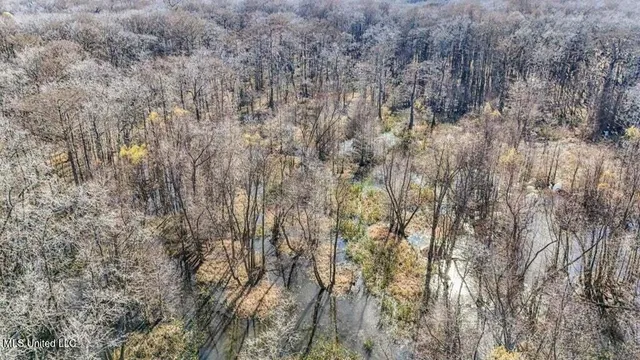 $975,000 | 1 Rodney Bend Road, Lorman, MS 39096