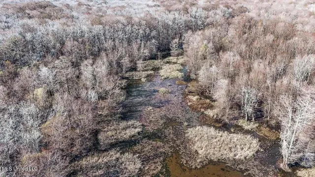 $975,000 | 1 Rodney Bend Road, Lorman, MS 39096