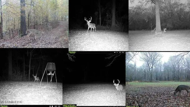 $975,000 | 1 Rodney Bend Road, Lorman, MS 39096