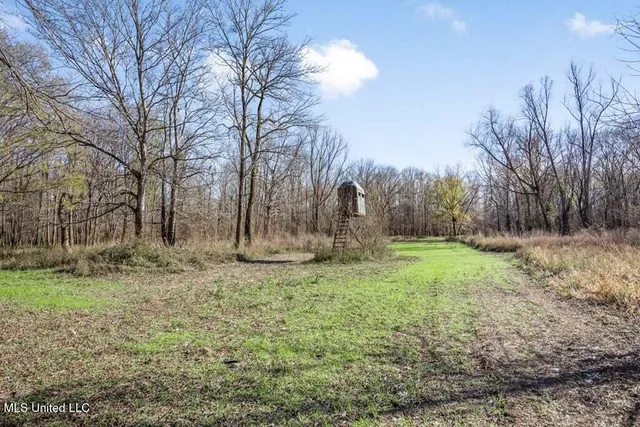 $975,000 | 1 Rodney Bend Road, Lorman, MS 39096