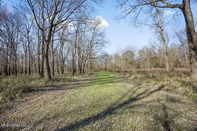 $975,000 | 1 Rodney Bend Road, Lorman, MS 39096