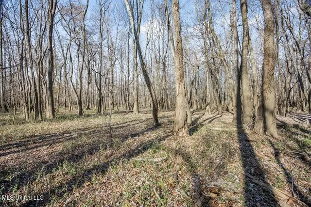 $975,000 | 1 Rodney Bend Road, Lorman, MS 39096